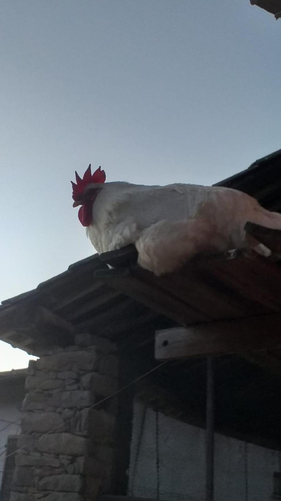 Agriturismo Cascina Knec Feisoglio ภายนอก รูปภาพ